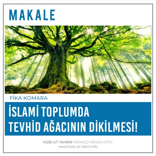 İslami Toplumda Tevhid Ağacının Dikilmesi!