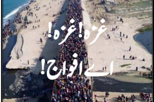 نصرة میگزین / شمارہ :84